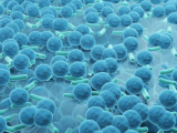 3D biofilm illustration