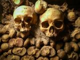 Two skulls