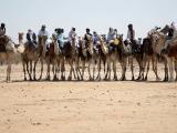 Camel riders in Africa