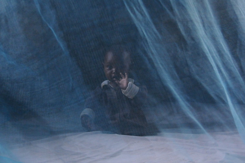 baby behind mosquito net