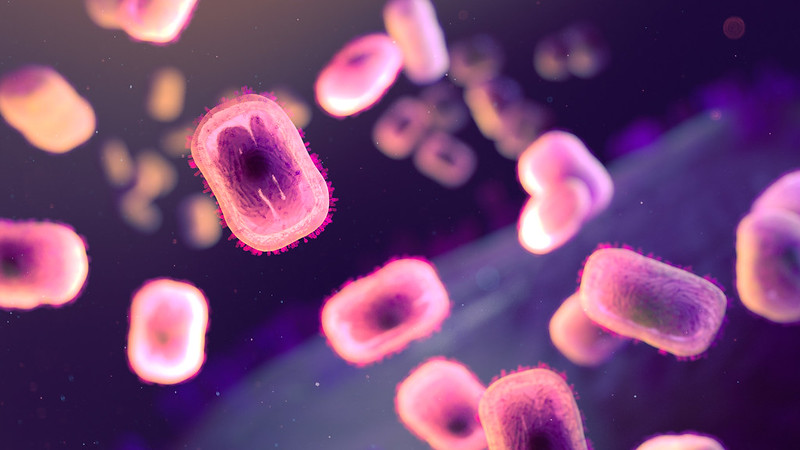 mpox pink purple