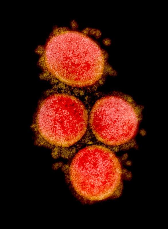 SARS-CoV-2 COVID-19 virus, highly magnified