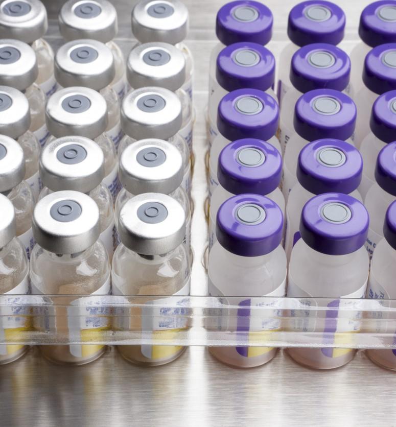 Rows of vaccine vials