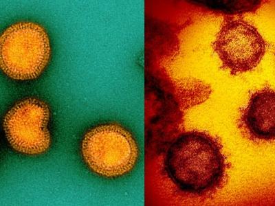 Influenza and SARS-CoV-2 viruses