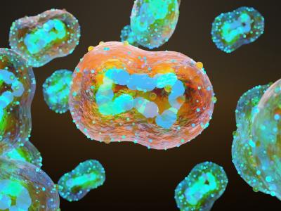 Mpox virus illustration