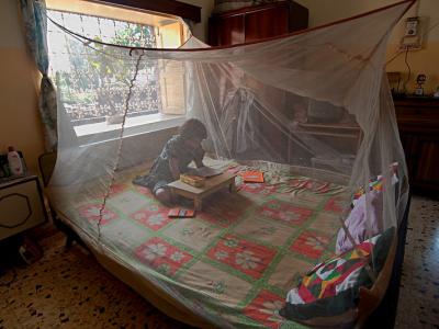 reading under malaria net