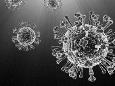 2009 H1N1 influenza virus