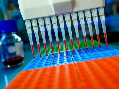 Pipetting for DNA testing
