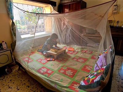 Malaria mosquito net