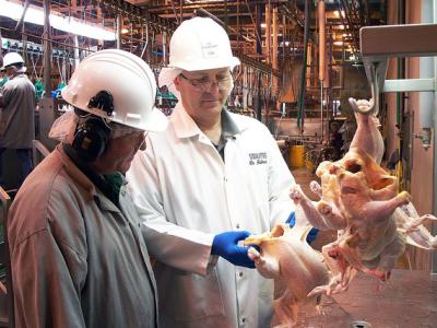 USDA poultry inspectors