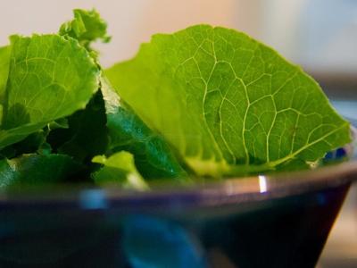 Romaine lettuce in a bowl