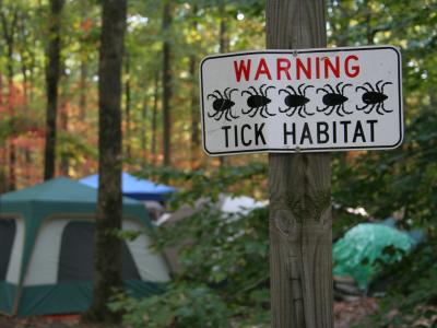 Sign warns campers about disease-carrying ticks.