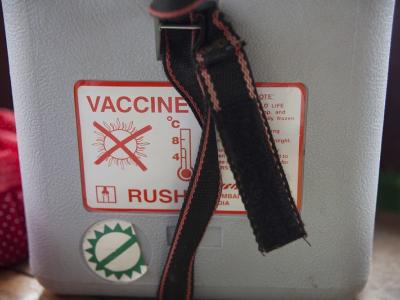 Vaccine cooler
