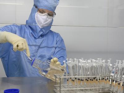 Yellow fever vaccine production