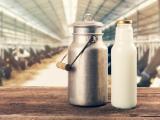 raw milk