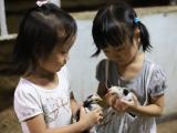 Two girls with young chickens