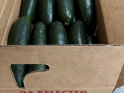Recalled cucumbers